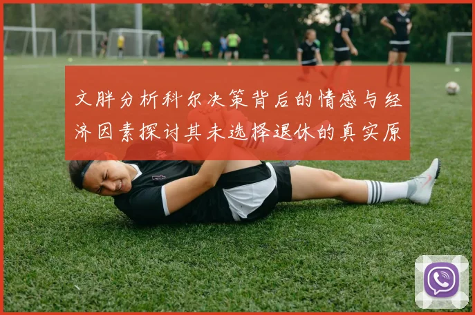 文胖分析科尔决策背后的情感与经济因素探讨其未选择退休的真实原因