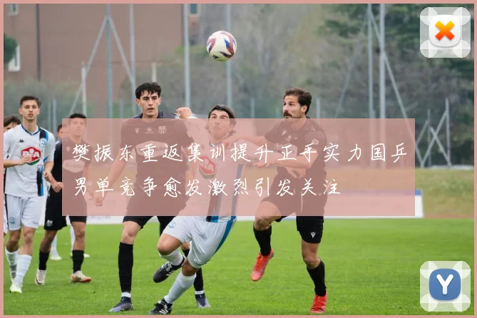 樊振东重返集训提升正手实力国乒男单竞争愈发激烈引发关注