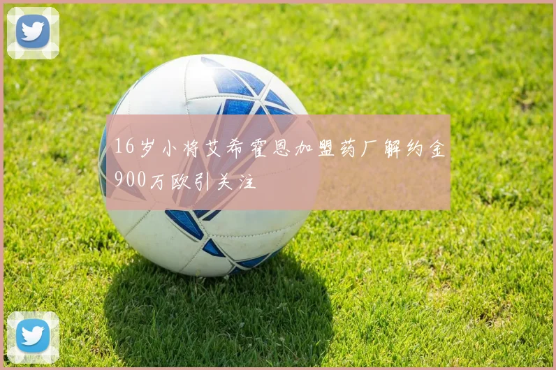 16岁小将艾希霍恩加盟药厂解约金900万欧引关注