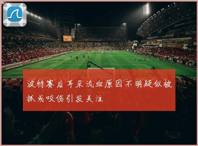 波特赛后耳朵流血原因不明疑似被抓或咬伤引发关注