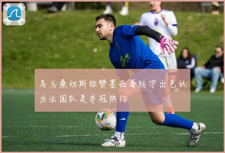 乌戈桑切斯称赞墨西哥防守出色认为法国队是夺冠热门